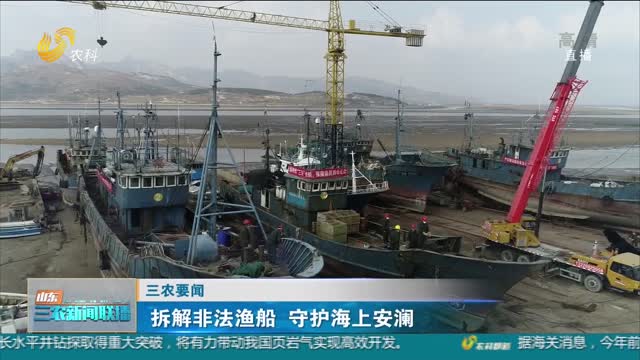 【三农要闻】拆解非法渔船 守护海上安澜