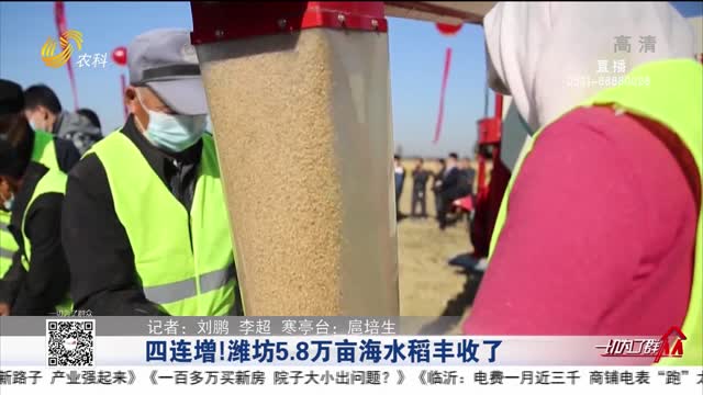 四連增！濰坊5.8萬畝海水稻豐收了