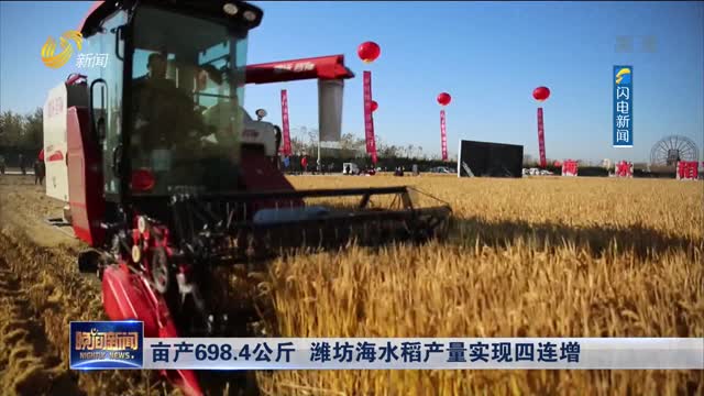 亩产698.4公斤 潍坊海水稻产量实现四连增