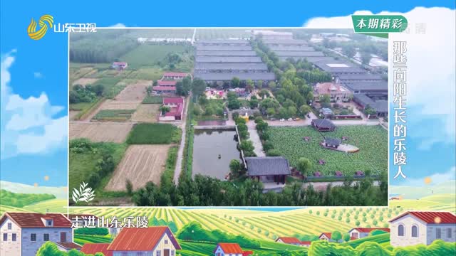 20221101《鄉約》：那些向陽生長的樂陵人
