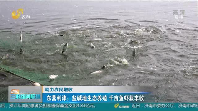 【助力农民增收】东营利津：盐碱地生态养殖 千亩鱼虾获丰收