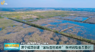 济宁成功创建“国际湿地城市” 探寻背后的生态密码