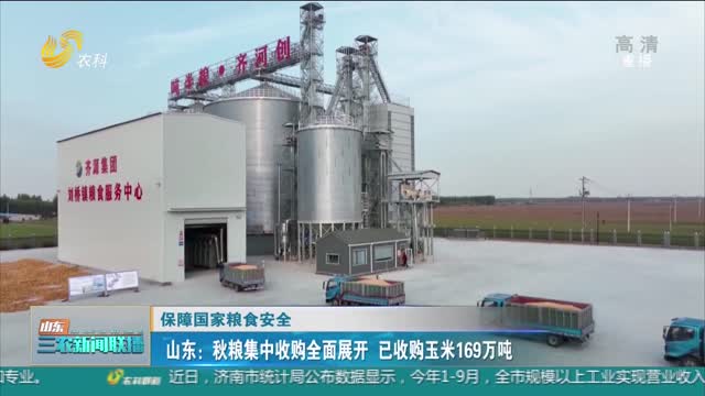 【保障国家粮食安全】山东：秋粮集中收购全面展开 已收购玉米169万吨