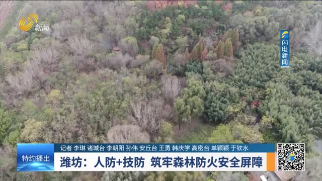 潍坊：人防+技防 筑牢森林防火安全屏障