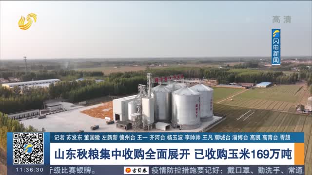 山东秋粮集中收购全面展开 已收购玉米169万吨
