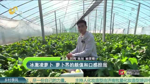 冰激凌萝卜 萝卜界的颜值和口感担当