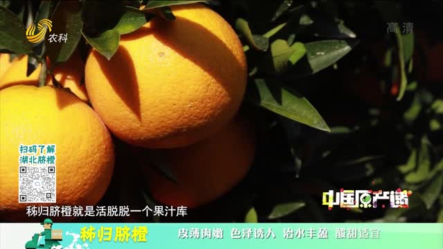 20221120《中国原产递》：秭归脐橙