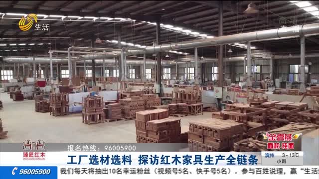 工厂选材选料 探访红木家具生产全链条