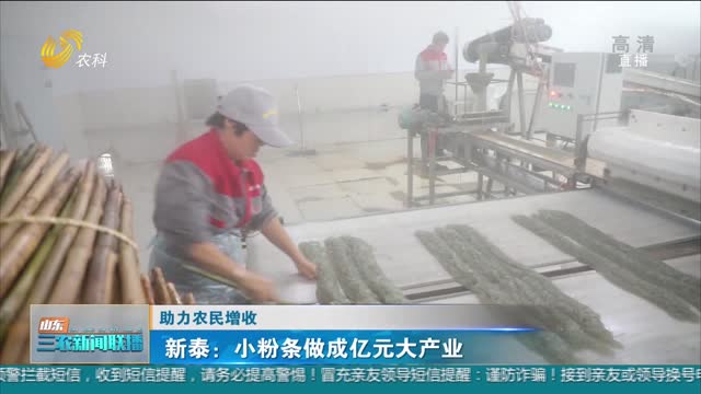 【助力农民增收】新泰：小粉条做成亿元大产业