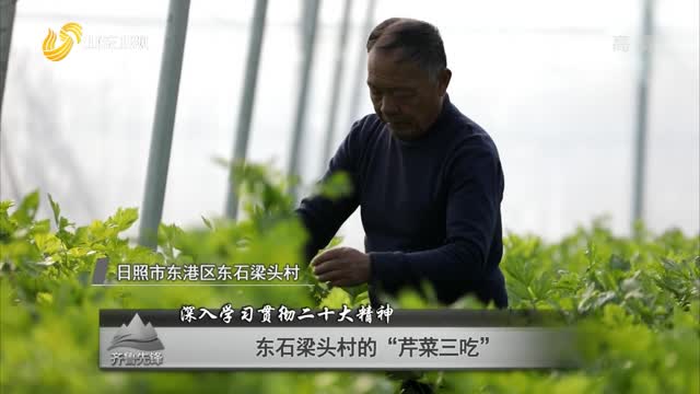 20221130《齐鲁先锋》：东石梁头村的“芹菜三吃”