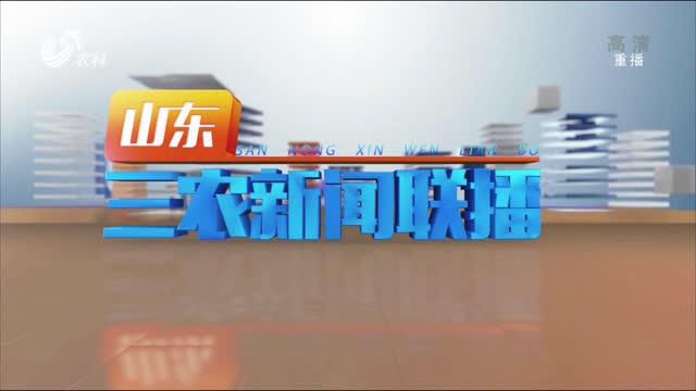 2022年12月05日山东三农新闻联播完整版