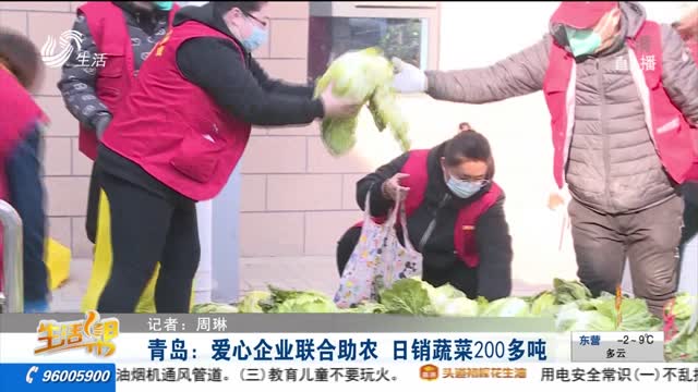 青岛：爱心企业联合助农 日销蔬菜200多吨