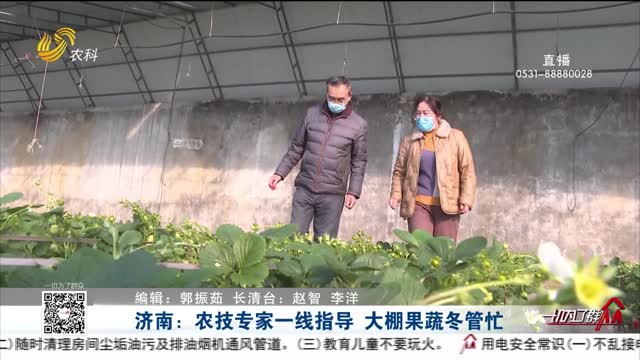 济南：农技专家一线指导 大棚果蔬冬管忙