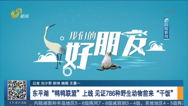 【我们的好朋友⑧】东平湖“鸭鸭联盟”上线 见证786种野生动物前来“干饭”
