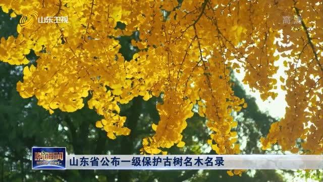 山东省公布一级保护古树名木名录