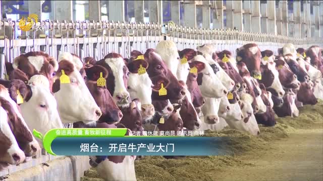 【奋进高质量 畜牧新征程】烟台：开启牛产业大门