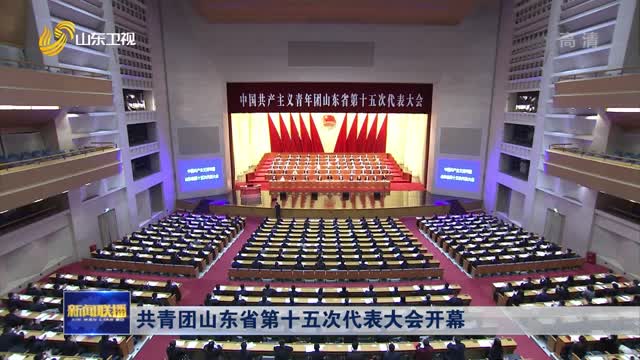 共青团山东省第十五次代表大会开幕