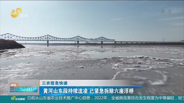 【三农信息快递】黄河山东段持续流凌 已紧急拆除六座浮桥