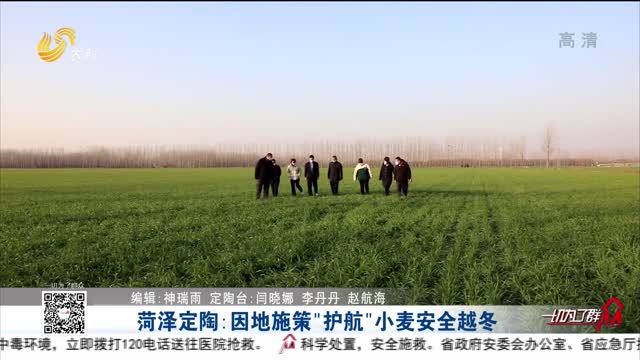 菏泽定陶：因地施策“护航”小麦安全越冬