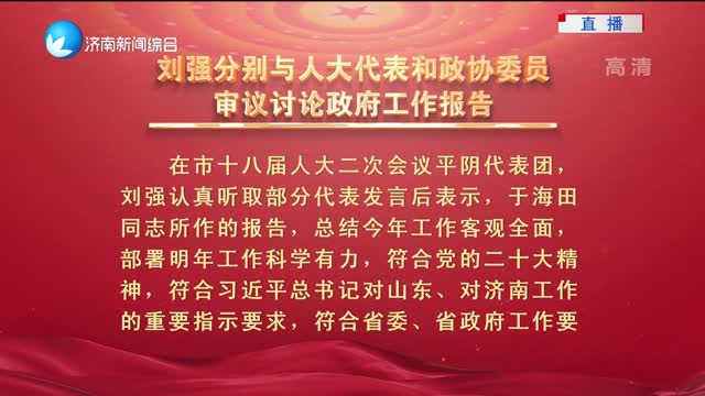 刘强分别与人大代表和政协委员审议讨论政府工作报告