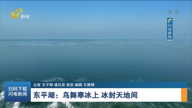 东平湖：鸟舞寒冰上 冰封天地间