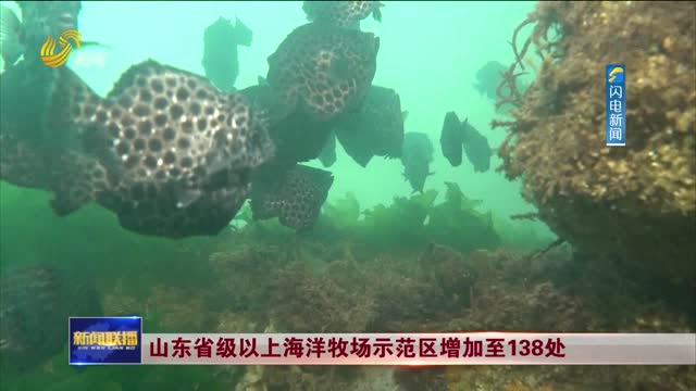 山东省级以上海洋牧场示范区增加至138处