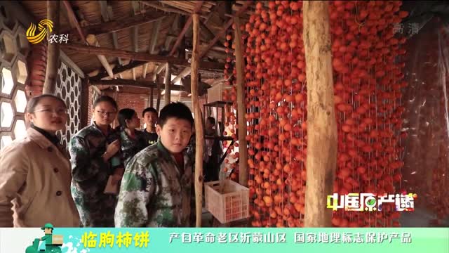 20221231《中國原產遞》：臨朐柿餅