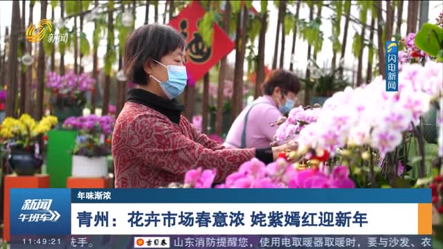 【年味渐浓】青州：花卉市场春意浓 姹紫嫣红迎新年