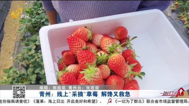 青州：线上“采摘”草莓 解馋又救急