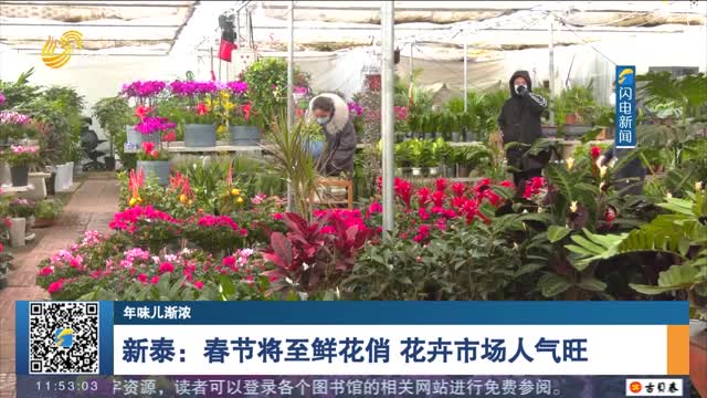 【年味儿渐浓】新泰：春节将至鲜花俏 花卉市场人气旺