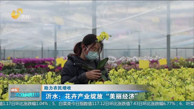 【助力农民增收】沂水：花卉产业绽放“美丽经济”