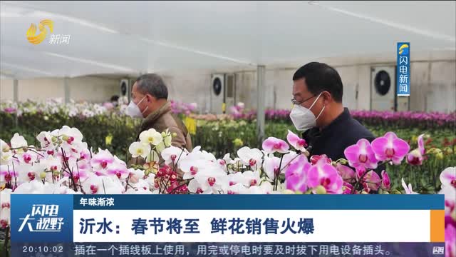 【年味渐浓】沂水：春节将至 鲜花销售火爆