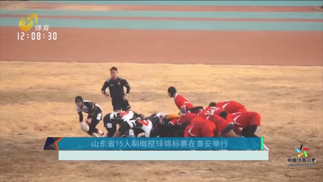 山东省15人制橄榄球锦标赛在泰安举行