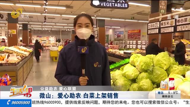 【公益助农 爱心联盟】微山：爱心助农 白菜上架销售