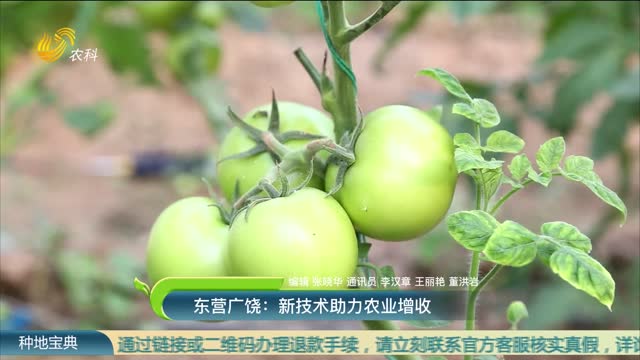 東營廣饒：新技術助力農業增收