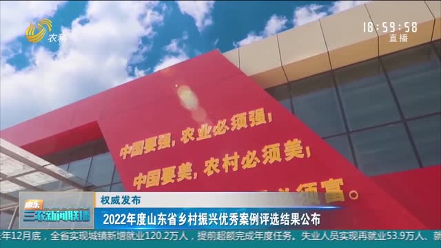 【权威发布】2022年度山东省乡村振兴优秀案例评选结果公布