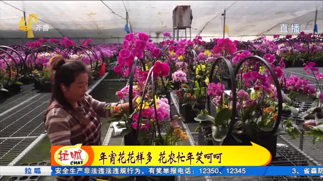 青州：江北最大花卉市场 年宵花热卖全国