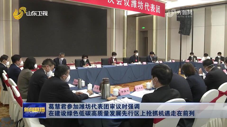 葛慧君参加潍坊代表团审议时强调 在建设绿色低碳高质量发展先行区上抢抓机遇走在前列