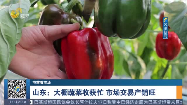 【节前看市场】山东：大棚蔬菜收获忙 市场交易产销旺