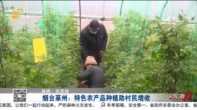 烟台莱州：特色农产品种植助村民增收