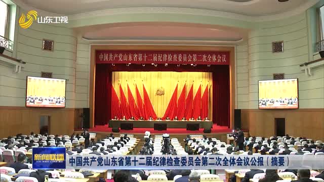 中国共产党山东省第十二届纪律检查委员会第二次全体会议公报（摘要）
