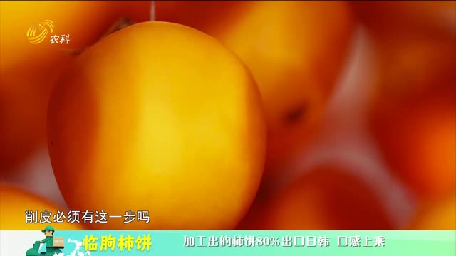 20230123《中国原产递》：临朐柿饼