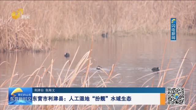东营市利津县：人工湿地“扮靓”水域生态