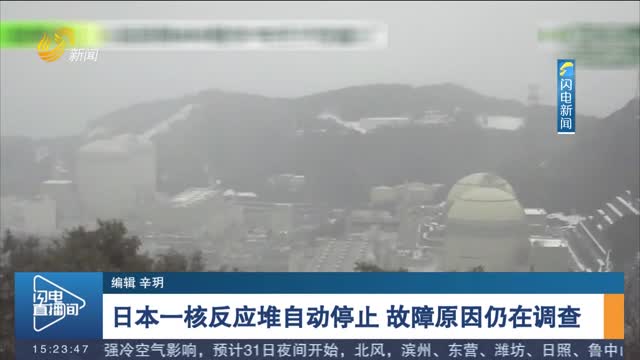 日本一核反应堆自动停止 故障原因仍在调查