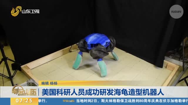 美国科研人员成功研发海龟造型机器人