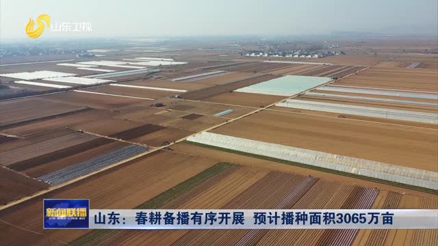 山东：春耕备播有序开展 预计播种面积3065万亩