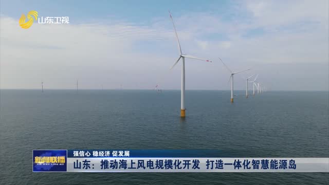 山东：推动海上风电规模化开发 打造一体化智慧能源岛【强信心 稳经济 促发展】