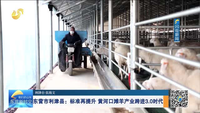 东营市利津县：标准再提升 黄河口滩羊产业跨进3.0时代