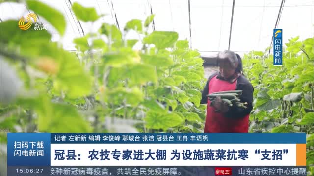 【应对低温天气】冠县：农技专家进大棚 为设施蔬菜抗寒“支招”