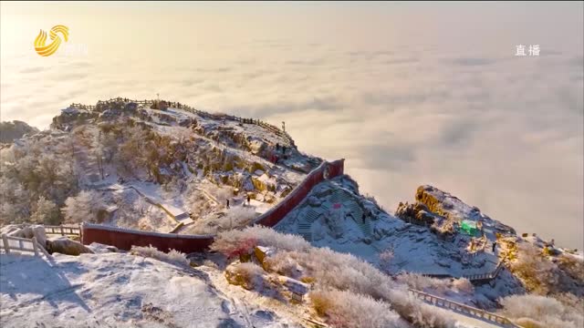 泰山雾凇冰挂奇观